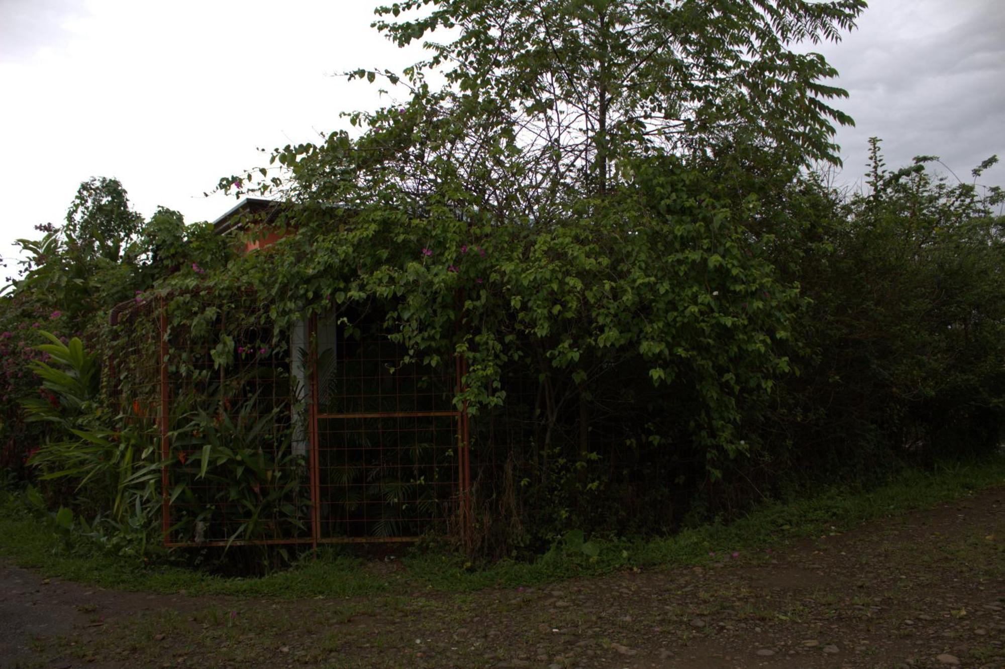 Home La Fortuna מראה חיצוני תמונה